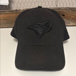 Toronto Blue Jays Hat